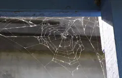 Get rid of pests on your Home's Exterior. Shawano County Pest Control.