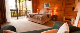 Keep your place bug free. Call us for a free bug removal estimate