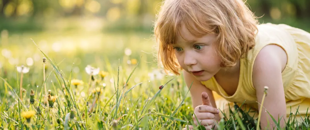 Get rid of bugs and protect your home or business from unwanted pests!
