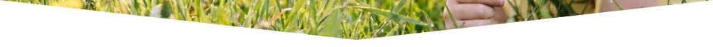 Get rid of bugs and protect your home or business from unwanted pests!