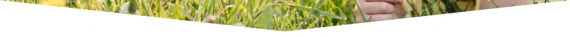 Get rid of bugs and protect your home or business from unwanted pests!