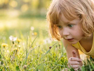 Get rid of bugs and protect your home or business from unwanted pests!