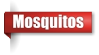 Mosquito exterminator in the Upper Peninsula of Michigan