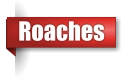 Roach exterminator in the Upper Peninsula of Michigan