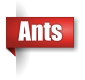 Ant exterminator in the Upper Peninsula of Michigan