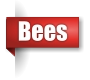 Bee exterminator in the Upper Peninsula of Michigan