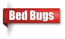 Bed bug exterminator in Northern Wisconsin