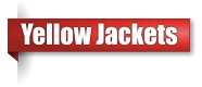 Yellow jacket exterminator in Northern Wisconsin