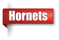Hornet exterminator in the Upper Peninsula of Michigan