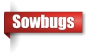 Sowbug extermination in Northern Wisconsin