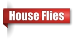 House fly extermination in UP Michigan