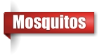 Mosquito exterminator in the Upper Peninsula of Michigan