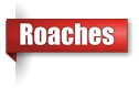 Roach exterminator in the Upper Peninsula of Michigan
