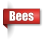 Bee exterminator in the Upper Peninsula of Michigan
