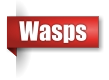 Wasp exterminator in the Upper Peninsula of Michigan