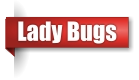 Lady bug exterminator in the Upper Peninsula of Michigan
