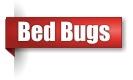 Bed bug exterminator in Northern Wisconsin