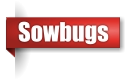 Sowbug extermination in Northern Wisconsin