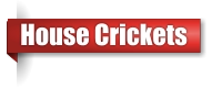 House cricket extermination in UP Michigan