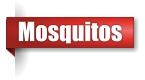 Mosquito exterminator in the Upper Peninsula of Michigan