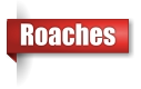 Roach exterminator in the Upper Peninsula of Michigan