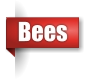 Bee exterminator in the Upper Peninsula of Michigan