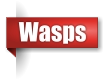 Wasp exterminator in the Upper Peninsula of Michigan