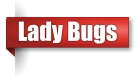 Lady bug exterminator in the Upper Peninsula of Michigan
