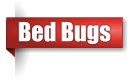 Bed bug exterminator in Northern Wisconsin