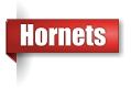 Hornet exterminator in the Upper Peninsula of Michigan