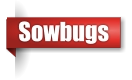 Sowbug extermination in Northern Wisconsin
