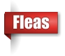 Flea extermination in UP Michigan