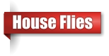 House fly extermination in UP Michigan