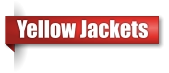 Yellow jacket removal company in Upper Peninsula Michigan