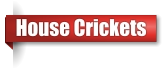 House cricket removal business in Northern Wisconsin